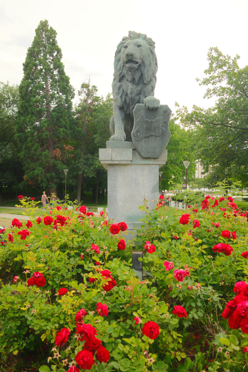 sofia stedentrip ndk central park2