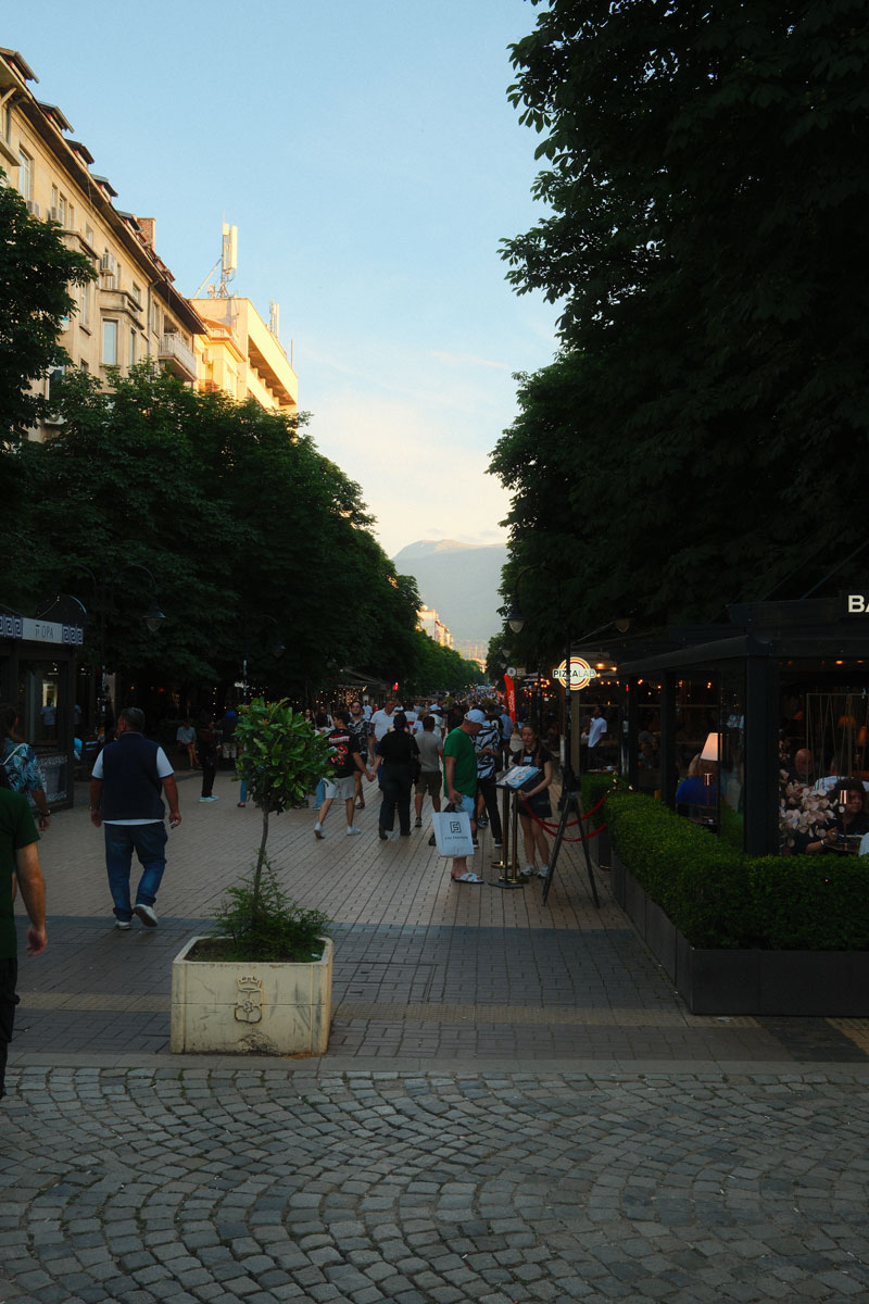 sofia stedentrip vitosha boulevard1