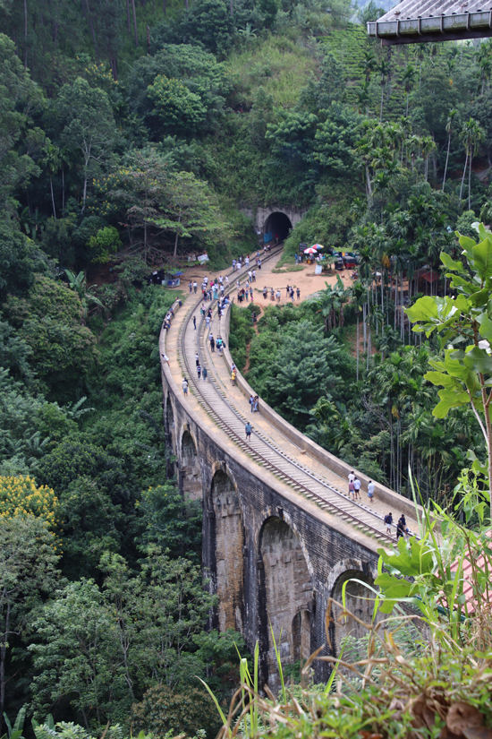 ella bridge1