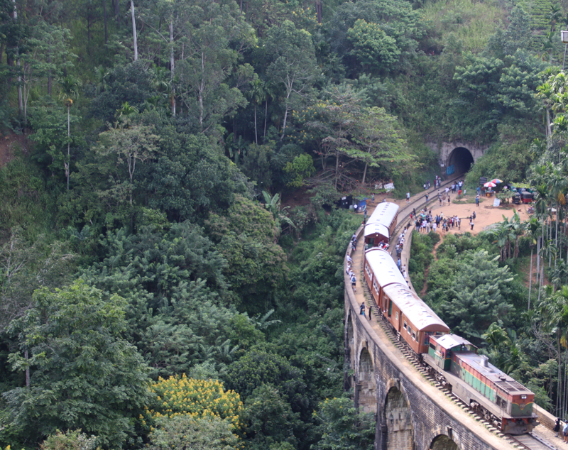 ella bridge2