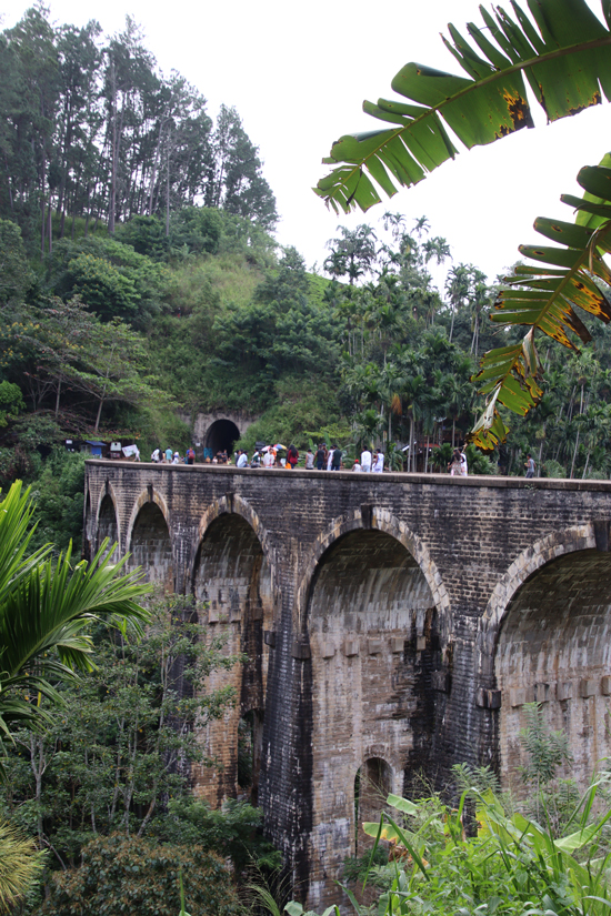 ella bridge3