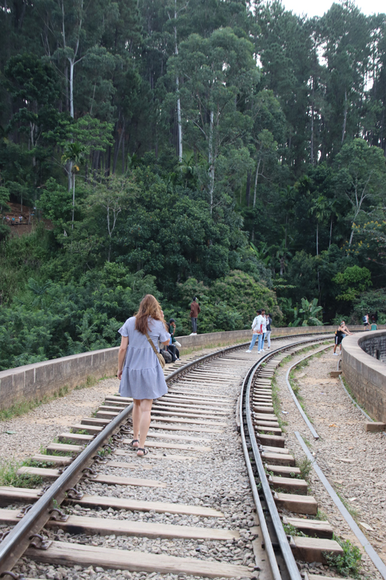 ella bridge4