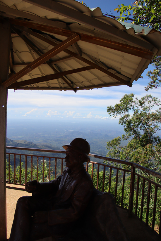 ella lipton view point1