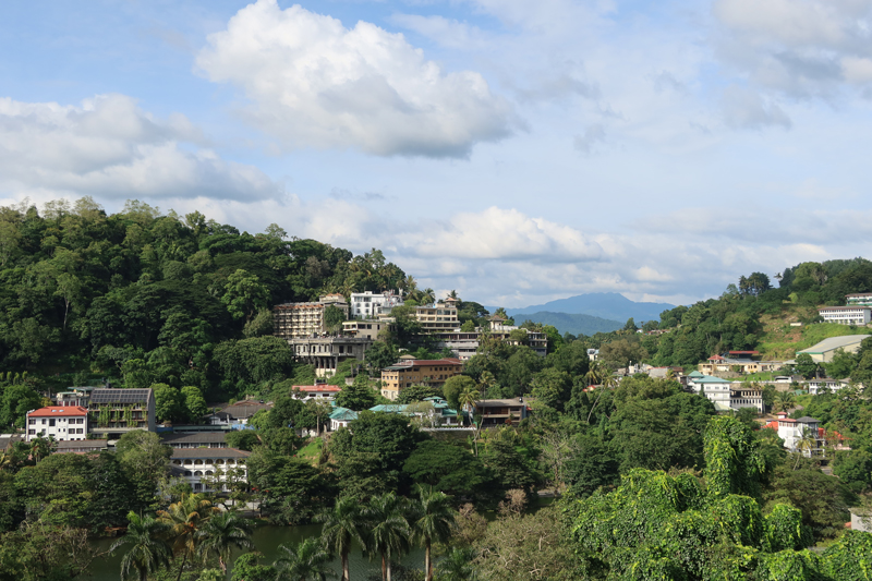 kandy bergen