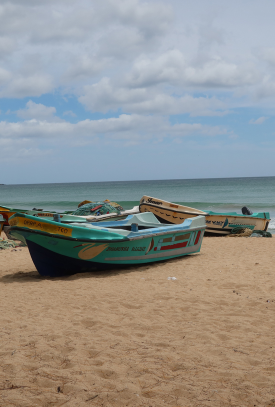 trimcomalee strand2