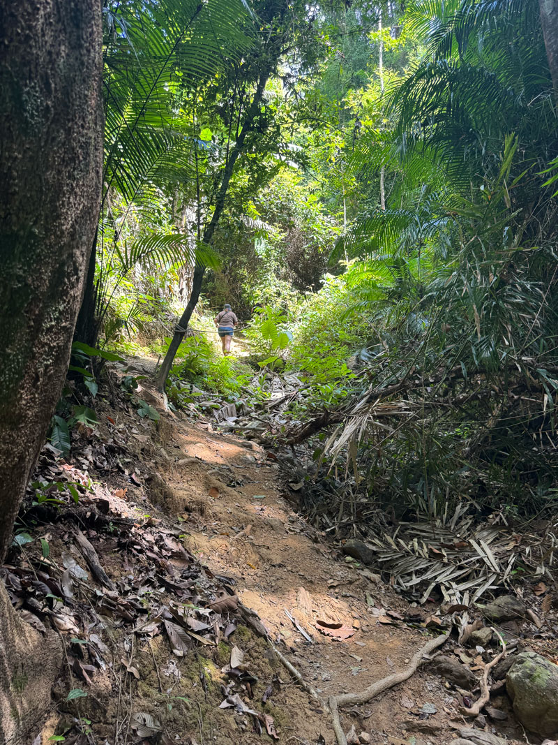 koh lanta national park6