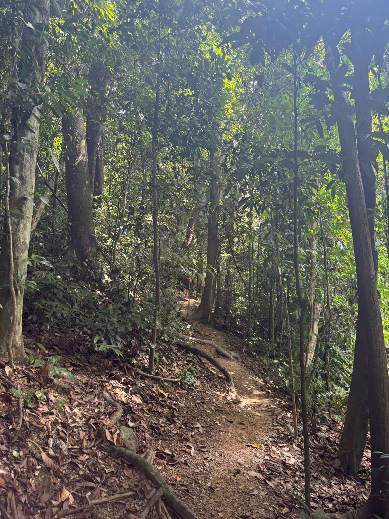 koh lanta national park7