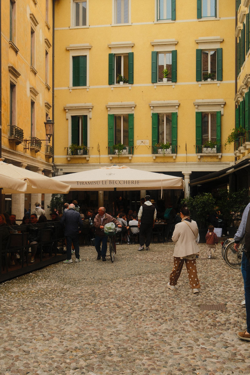 treviso tiramisu2